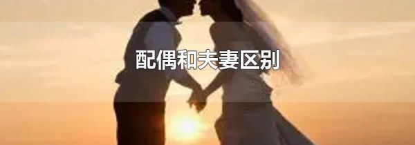配偶和夫妻区别