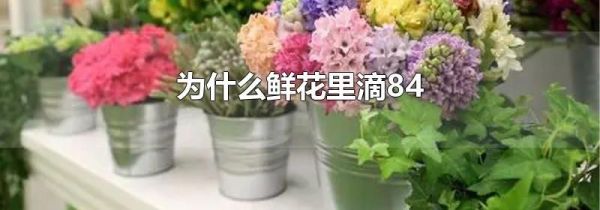 为什么鲜花里滴84