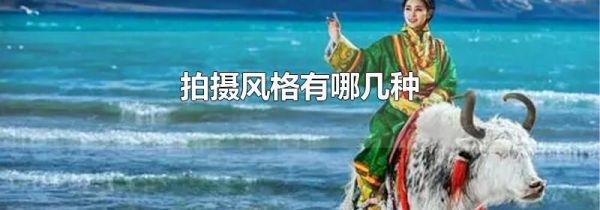 拍摄风格有哪几种