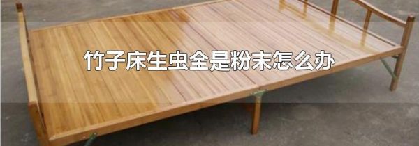 竹子床生虫全是粉末怎么办