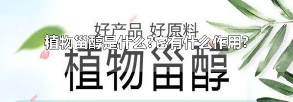 植物甾醇是什么?它有什么作用?