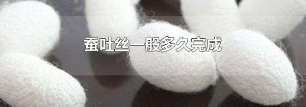 蚕吐丝一般多久完成