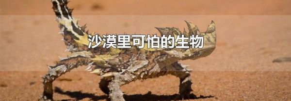 沙漠里可怕的生物