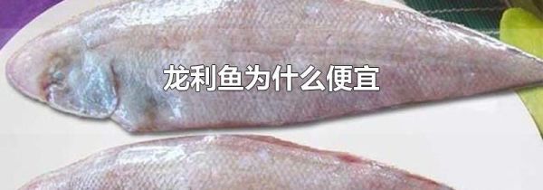 龙利鱼为什么便宜