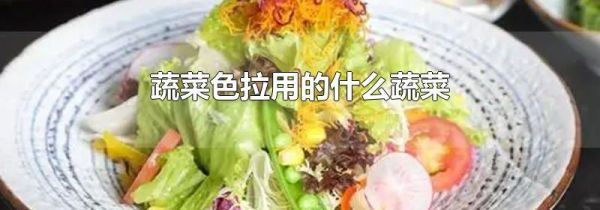 蔬菜色拉用的什么蔬菜