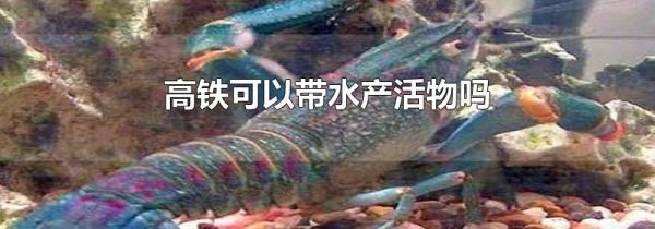 高铁可以带水产活物吗