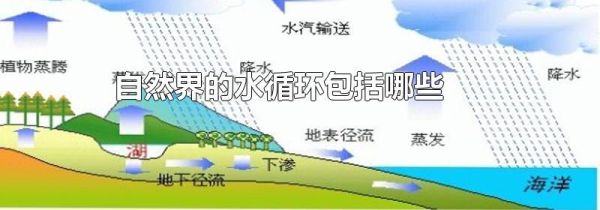 自然界的水循环包括哪些
