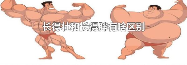 长得壮和长得胖有啥区别