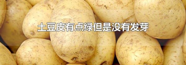 土豆皮有点绿但是没有发芽