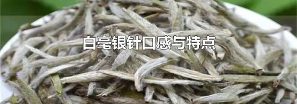 白毫银针口感与特点