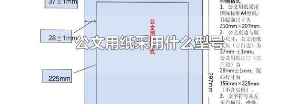 公文用纸采用什么型号