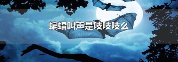 蝙蝠叫声是吱吱吱么