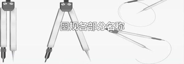 圆规各部分名称