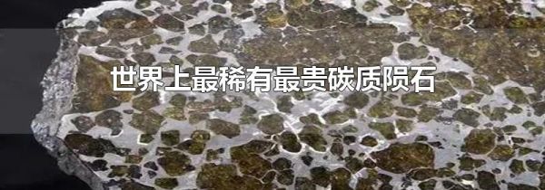 世界上最稀有最贵碳质陨石