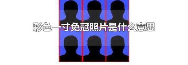 彩色一寸免冠照片是什么意思
