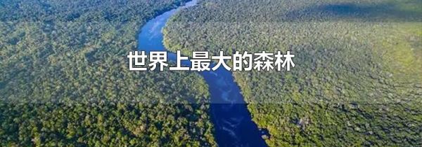 世界上最大的森林
