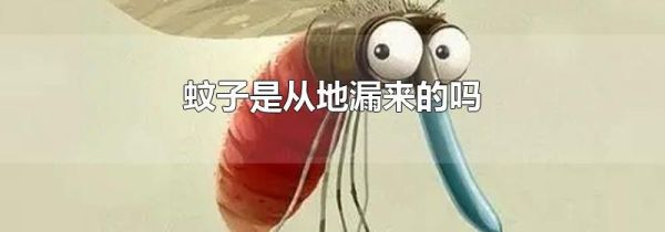 蚊子是从地漏来的吗