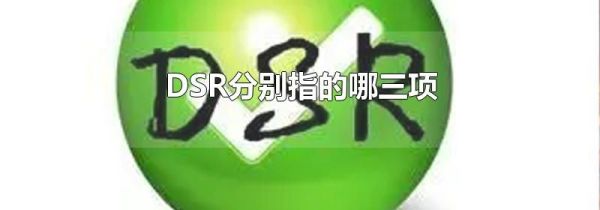 DSR分别指的哪三项