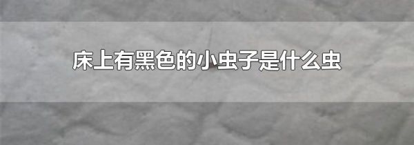 床上有黑色的小虫子是什么虫