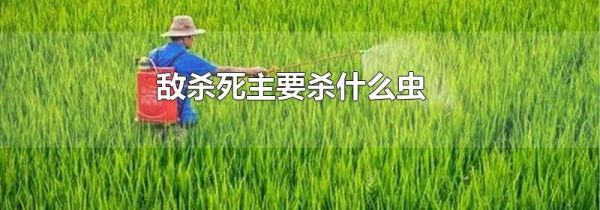 敌杀死主要杀什么虫