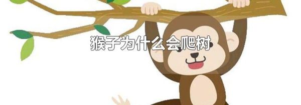 猴子为什么会爬树
