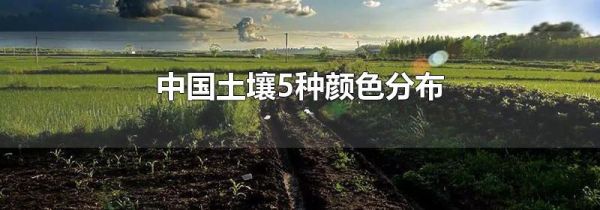 中国土壤5种颜色分布