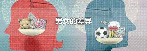 男女的差异