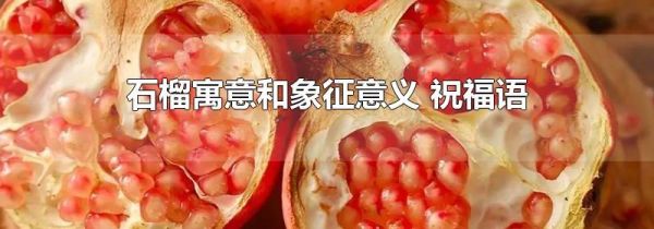 石榴寓意和象征意义 祝福语
