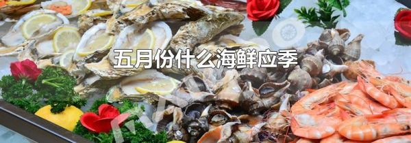 五月份什么海鲜应季