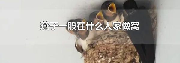 燕子一般在什么人家做窝