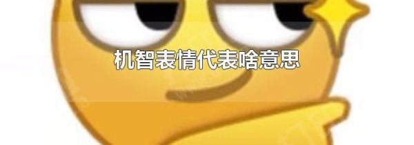 机智表情代表啥意思