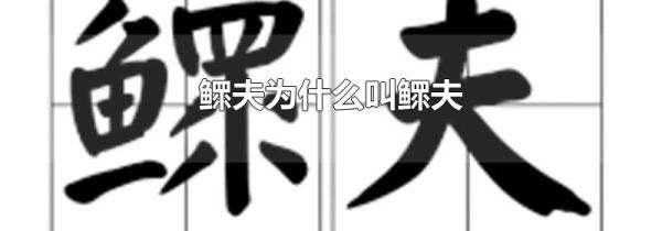 鳏夫为什么叫鳏夫