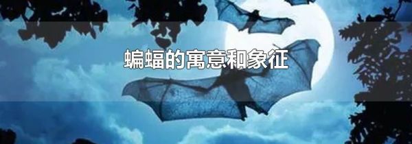 蝙蝠的寓意和象征