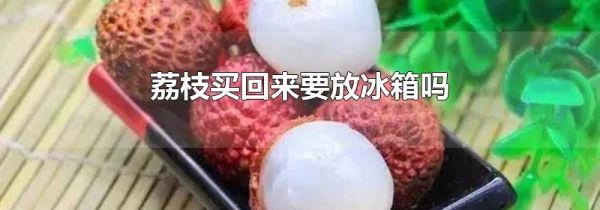 荔枝买回来要放冰箱吗