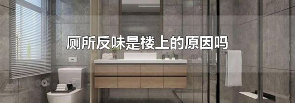 厕所反味是楼上的原因吗