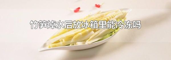 竹笋焯水后放冰箱里能冷冻吗