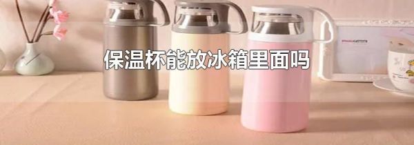 保温杯能放冰箱里面吗