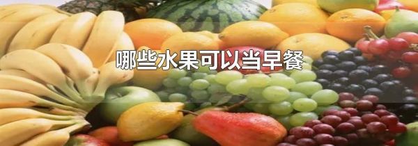 哪些水果可以当早餐