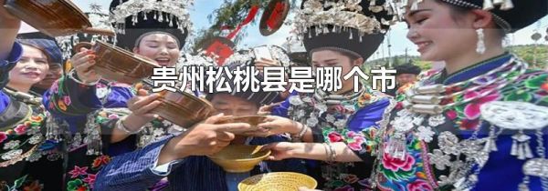 贵州松桃县是哪个市