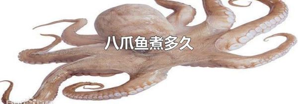 八爪鱼煮多久