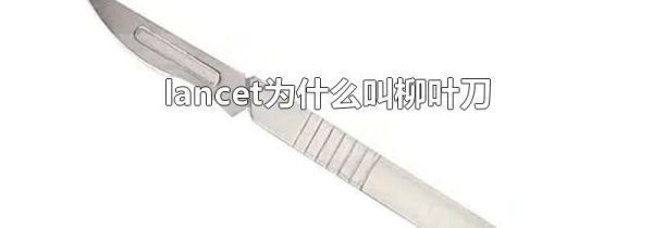 lancet为什么叫柳叶刀