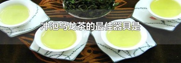 冲泡乌龙茶的最佳器具是