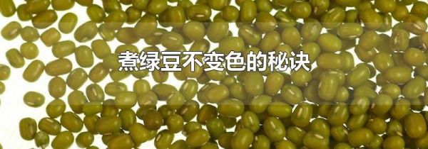 煮绿豆不变色的秘诀