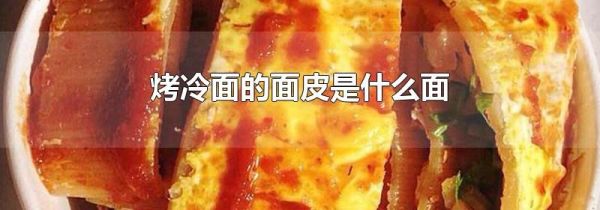 烤冷面的面皮是什么面