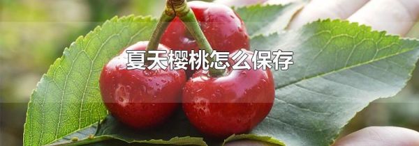 夏天樱桃怎么保存