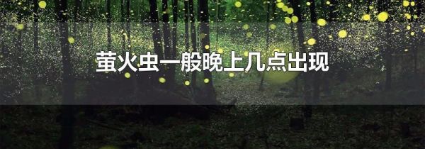 萤火虫一般晚上几点出现