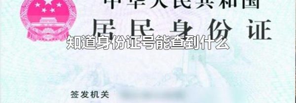知道身份证号能查到什么