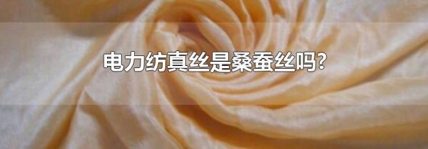 电力纺真丝是桑蚕丝吗?