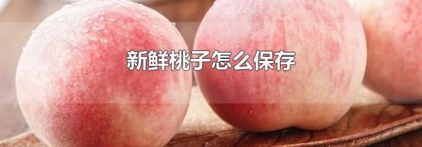 新鲜桃子怎么保存