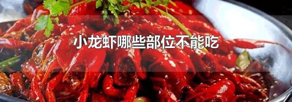 小龙虾哪些部位不能吃